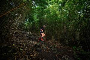 BIB: 
                            <button type="button" onclick="openModal(25093974)" class="btn btn-primary btn-sm float-right btn-popup" data-toggle="modal" data-target=".modal-high-quality">
                        <i class="fas fa-shopping-cart"></i> Add to Cart
                    </button>
                                            <button type="button" onclick="isThisMe(25093974, true)" class="btn btn-success btn-sm float-right btn-popup btn-isme hidden" data-toggle="tooltip" data-placement="bottom" title="นี่คือรูปของคุณใช่ไหม คลิกที่นี่เพื่อเอาเข้าอัลบั้ม">
                        <i class="fas fa-plus"></i> Add to album
                    </button>
                    <button type="button" onclick="isThisMe(25093974, false)" class="btn btn-warning btn-sm float-right btn-popup btn-isnotme hidden">
                        <i class="fas fa-ban"></i> Remove from album
                    </button>